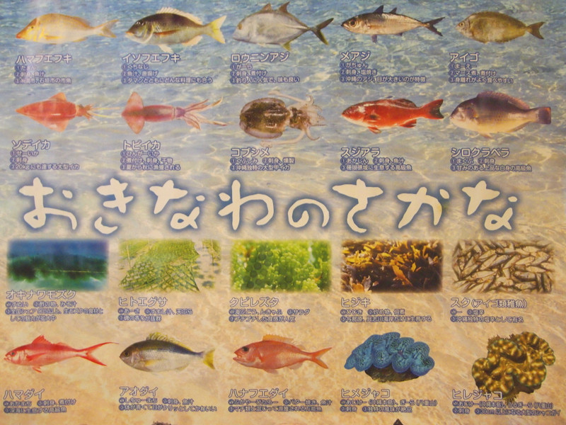 アカジン（魚、通称ミーバイ）タペストリー アカジン（魚、通称ミーバイ）タペストリー
