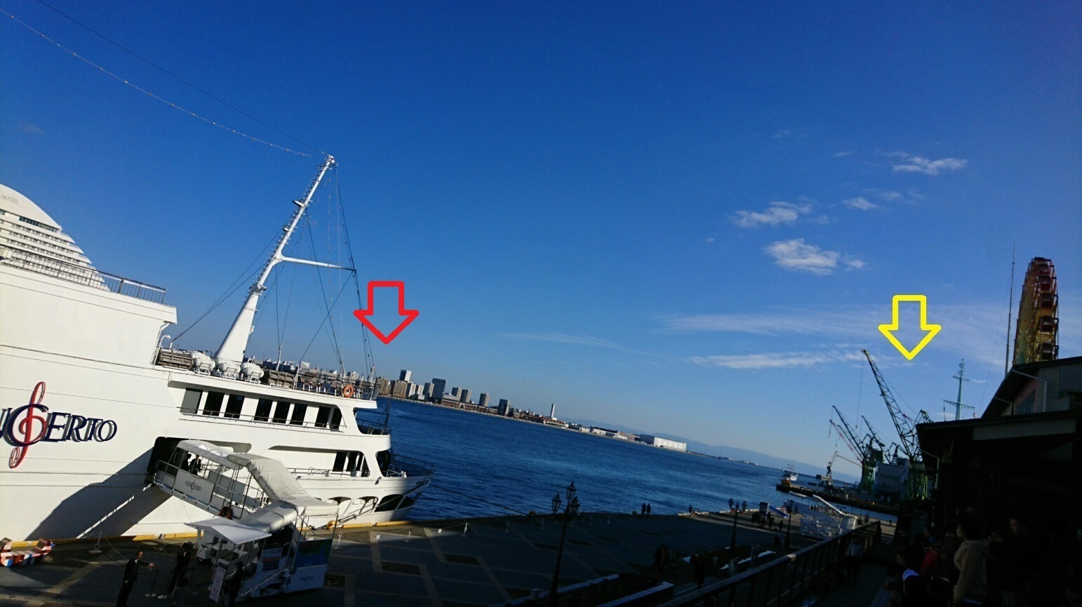 DSC_1698.jpg