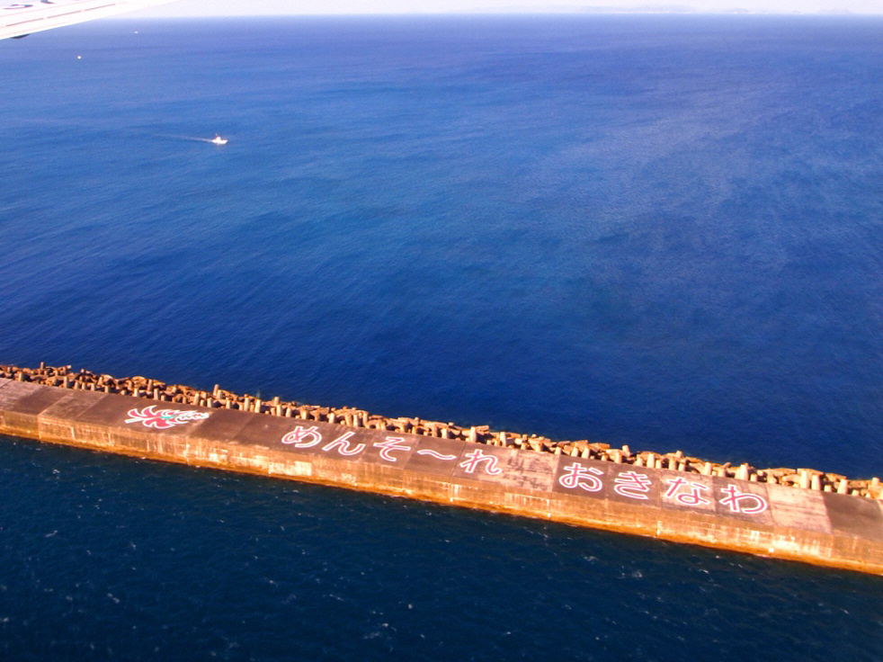 P1011686.JPG